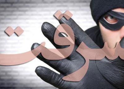 راننده اسنپ، طعمه سارقان زورگیر شد
