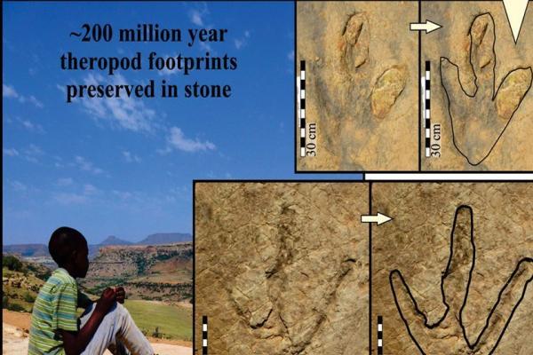 تور آفریقای جنوبی: بزرگ ترین ردپای دایناسورها در لسوتو آفریقای جنوبی کشف شد