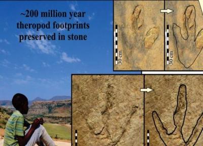 تور آفریقای جنوبی: بزرگ ترین ردپای دایناسورها در لسوتو آفریقای جنوبی کشف شد