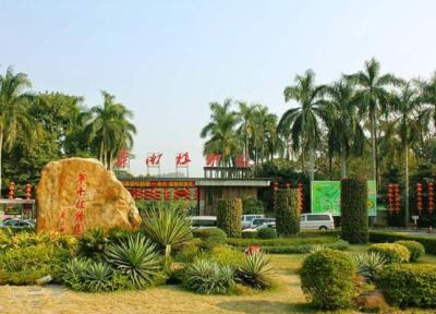 طراح خانه ویلایی: عجیب ترین گیاهان جهان را در باغ گیاه شناسی چین ببینید!