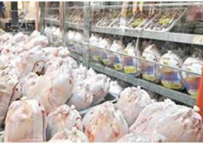 توزیع روزانه 8 هزار تن مرغ در سراسر کشور