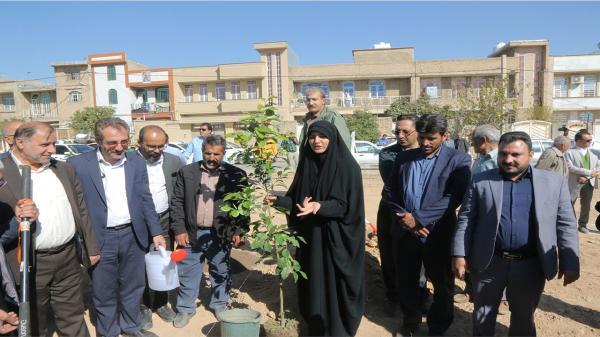 طرح کاشت فراگیر نهال در محلات کلانشهر شیراز